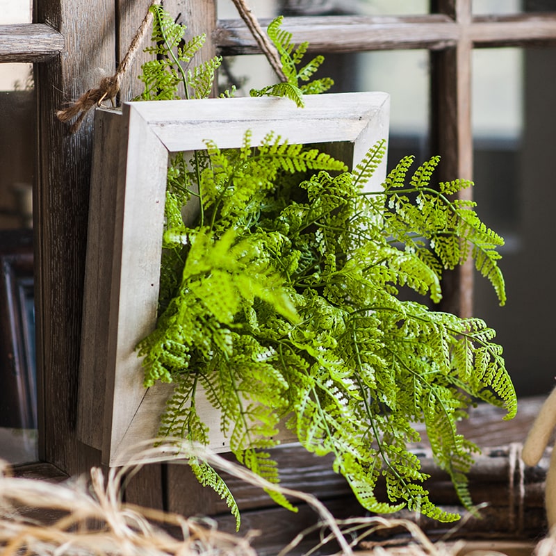 Green Plant Oba Fern in Wood Frame Plant Wall Art