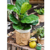 Paper Bag Style Concrete Garden Pot - RusticReach