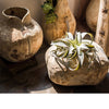 Parasol Tree Wood Natural Solid Wood Floral Container - RusticReach