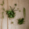 Artificial Faux Plant Metal Frame Wall Décor - RusticReach