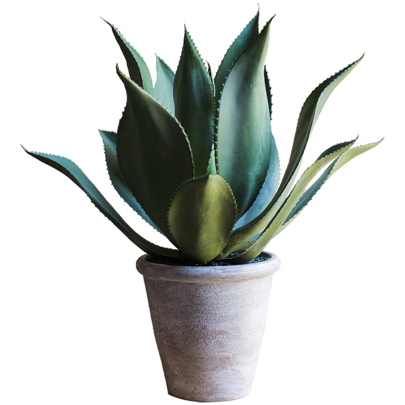 Artificial Faux Large Potted Agave Plant 22.8"