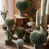 Artificial Faux Cactus Ball In Pot - RusticReach