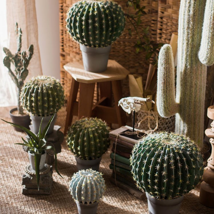 Artificial Faux Cactus Ball In Pot - RusticReach