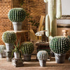 Artificial Faux Cactus Ball In Pot - RusticReach