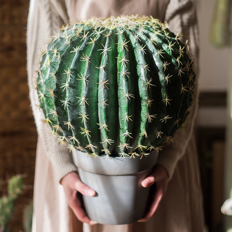 Artificial Faux Cactus Ball In Pot - RusticReach