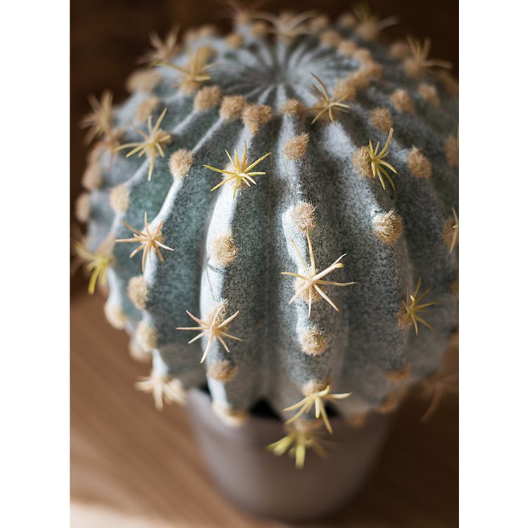 Artificial Faux Cactus Ball In Pot - RusticReach