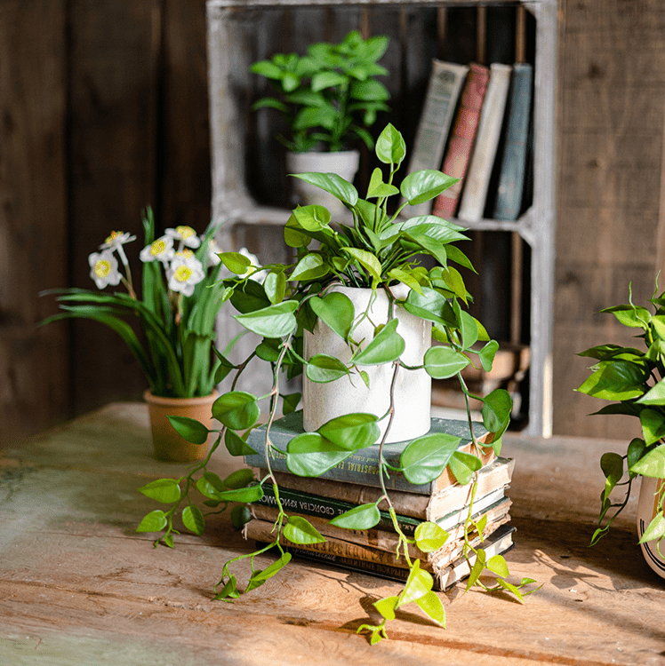 Artificial Devil's Ivy Plant in White Pot - RusticReach