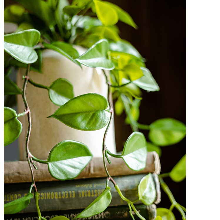 Artificial Devil's Ivy Plant in White Pot - RusticReach