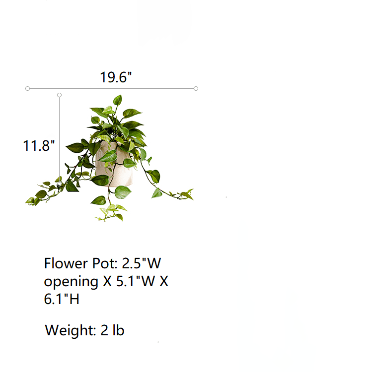 Artificial Devil's Ivy Plant in White Pot - RusticReach