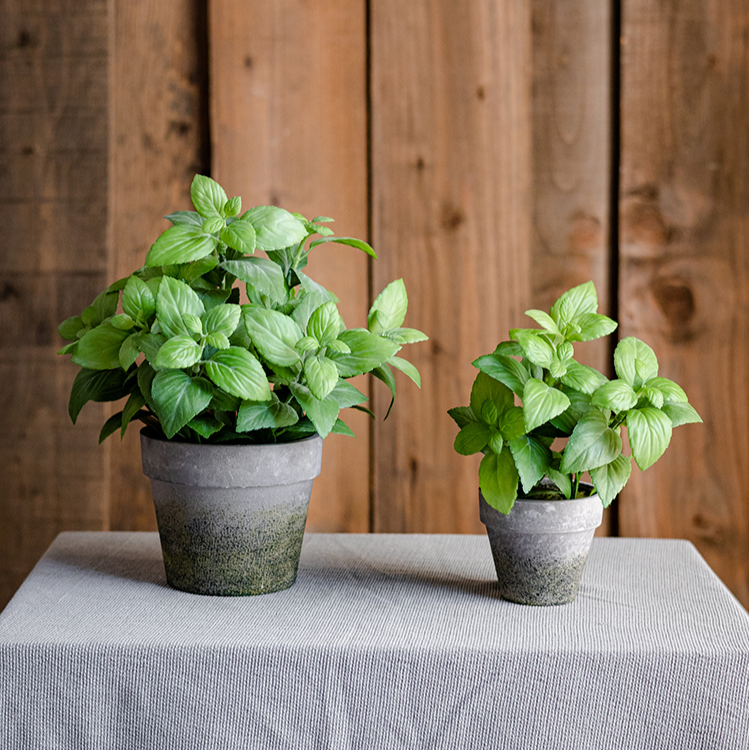 Artificial Potted Plant Mint Plant