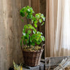 Artificial Potted Pilea Plant 26" Tall - RusticReach