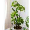 Artificial Potted Pilea Plant 26" Tall - RusticReach