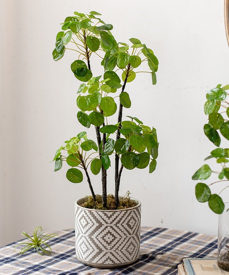 Artificial Potted Pilea Plant 26" Tall - RusticReach