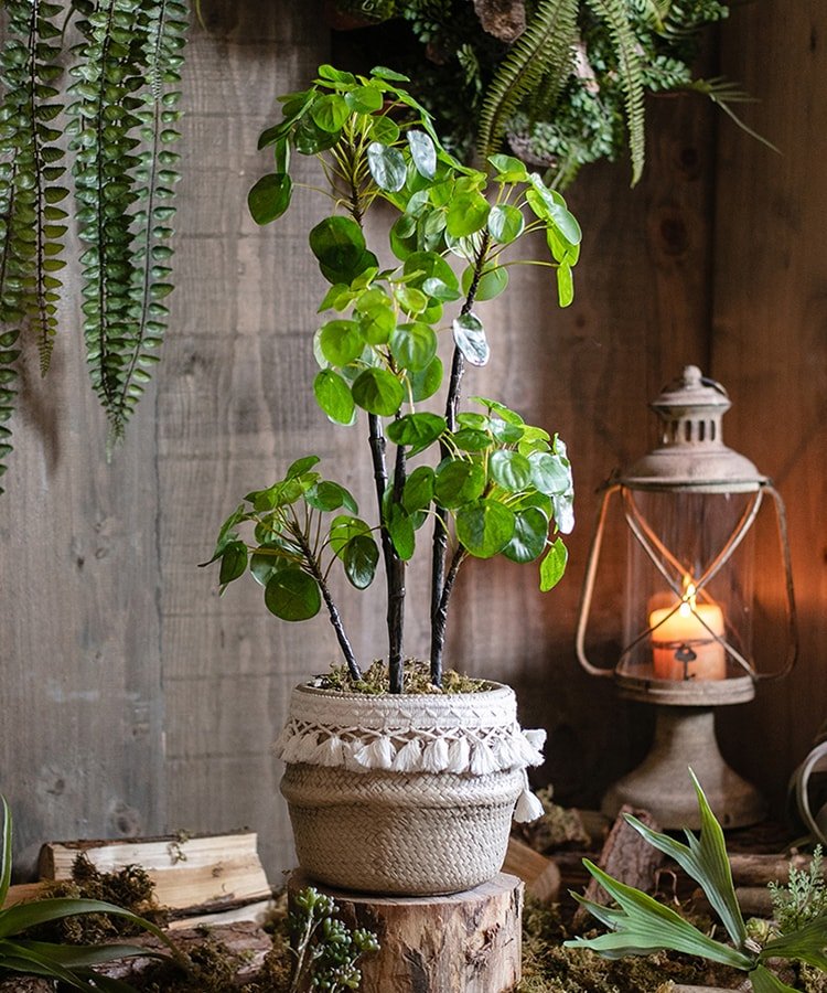 Artificial Potted Pilea Plant 26" Tall - RusticReach