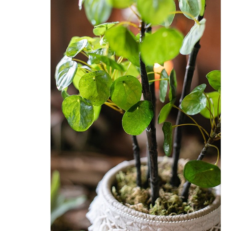 Artificial Potted Pilea Plant 26" Tall - RusticReach