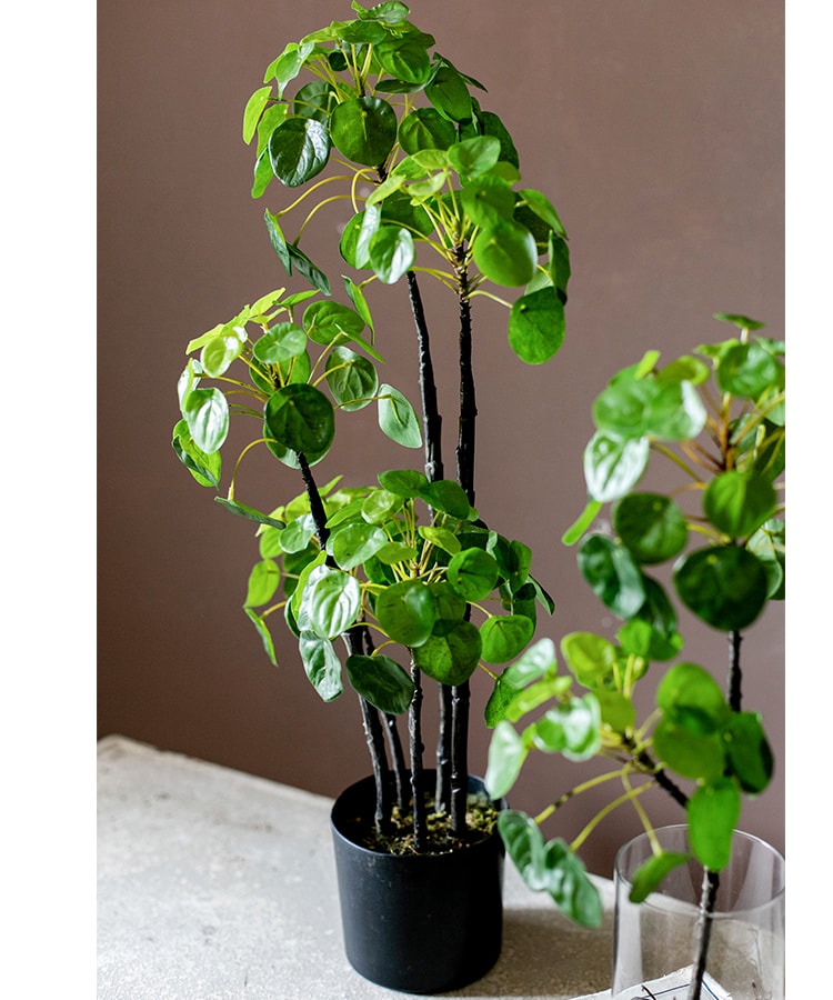 Artificial Potted Pilea Plant 26" Tall