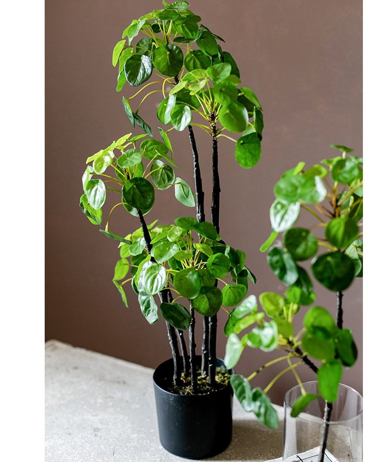 Artificial Potted Pilea Plant 26" Tall - RusticReach