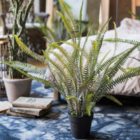 Artificial Potted Plant Polypodium Fern Plant