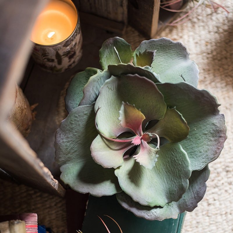 Artificial Real Touch Succulent Gigantea In Pot Faux - RusticReach
