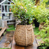 Large Rope Basket Cement Planter - RusticReach