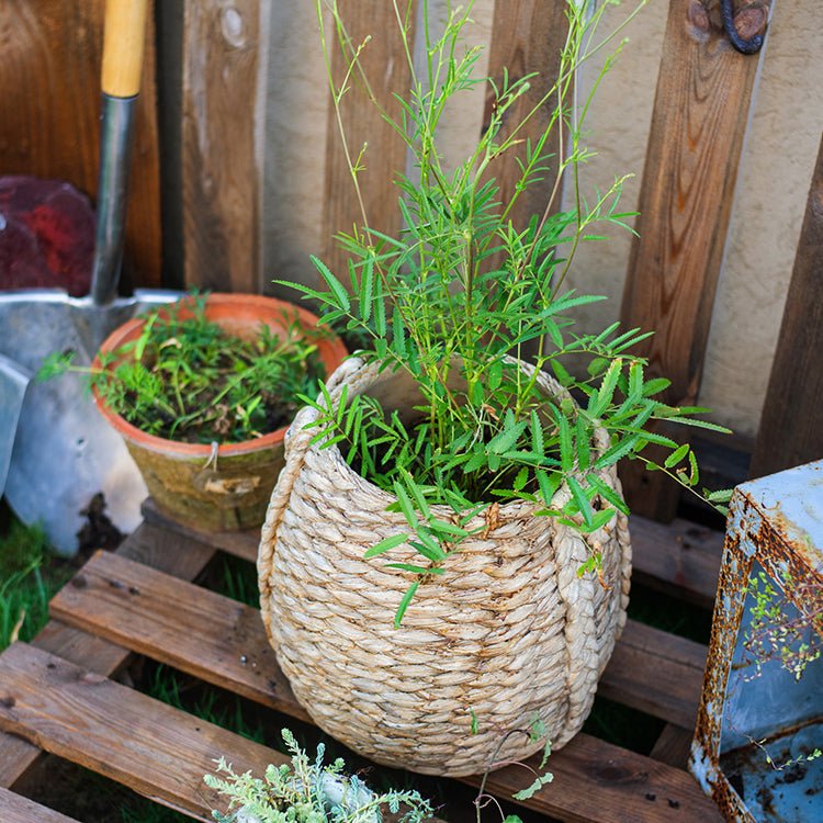 Large Rope Basket Cement Planter - RusticReach
