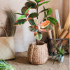 Large Rope Basket Cement Planter - RusticReach