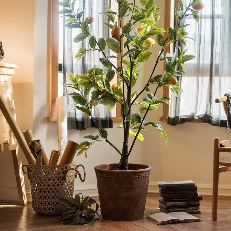 Large Terracotta Red Concrete Planter Pot - RusticReach