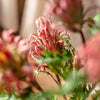 Red Flame Protea Artificial Flower Stem 31" Tall - RusticReach