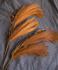 Faux Plant Reed Grass Stem In Various Colors 30" Tall - RusticReach