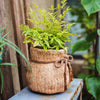 Ribbon Bag Style Concrete Garden Pot - RusticReach