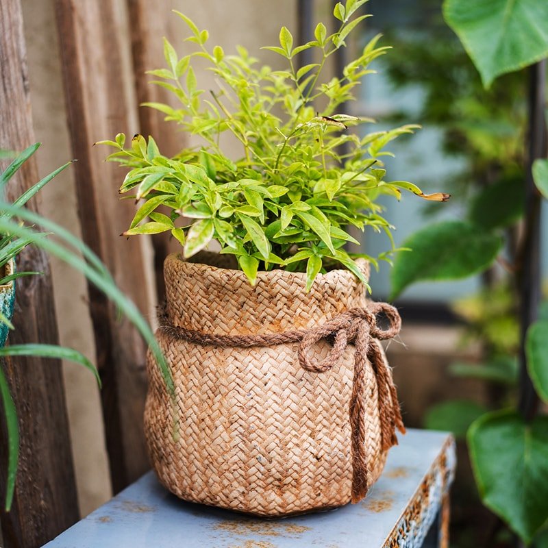 Ribbon Bag Style Concrete Garden Pot - RusticReach