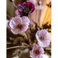 Rustic Poppy Flower Stem in Purple 23" Tall