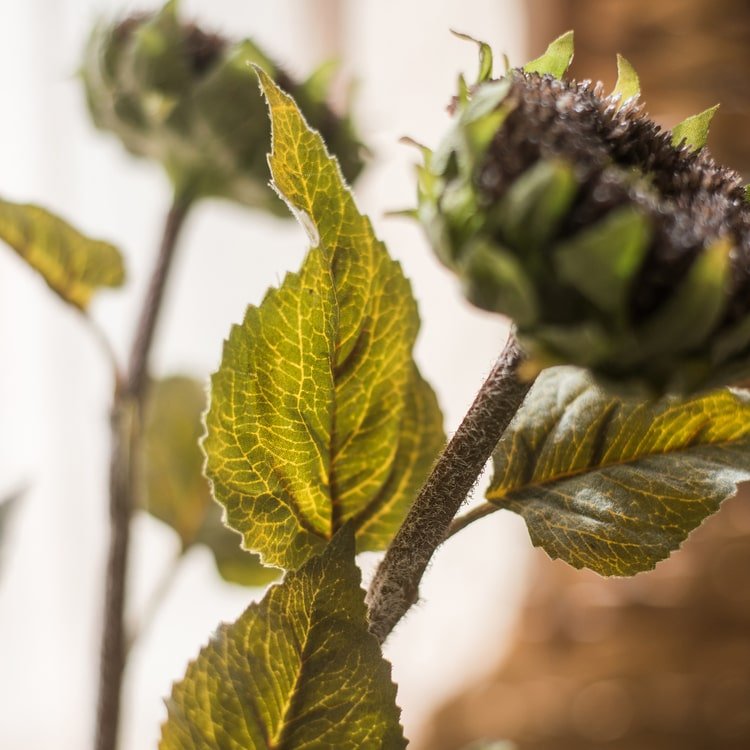 The Restoration Rustic Sunflower Stem - RusticReach