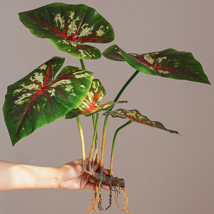 Faux Artificial Rooted Bunch Alocasia 19" Tall - RusticReach