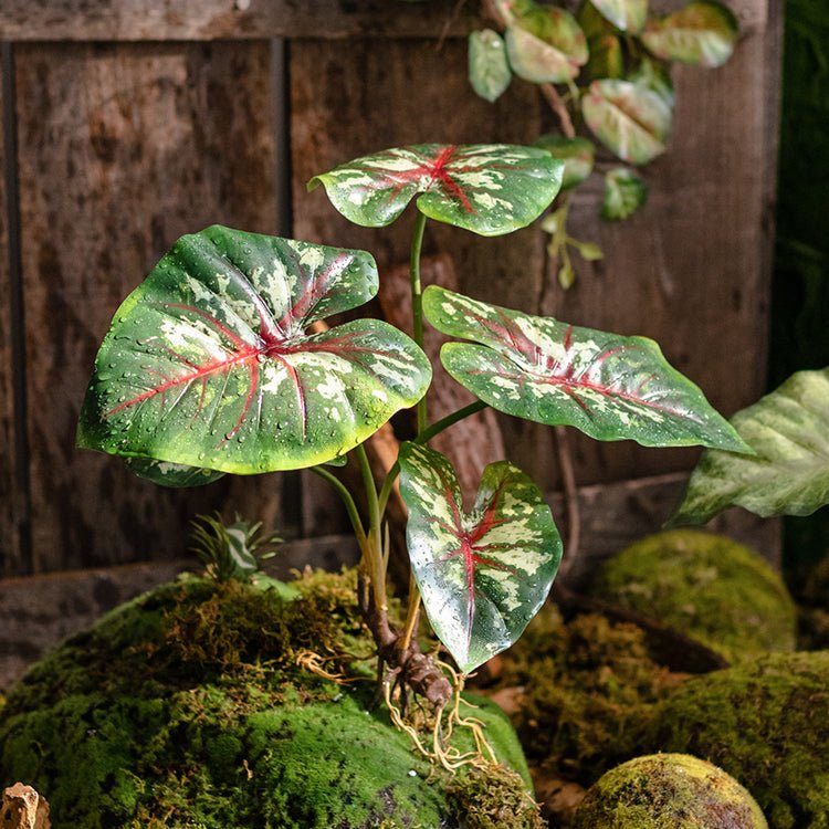 Faux Artificial Rooted Bunch Alocasia 19" Tall - RusticReach