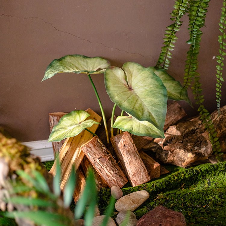 Faux Artificial Rooted Bunch Alocasia 19" Tall - RusticReach