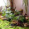 Faux Artificial Rooted Bunch Murdannia Leaf 23" Tall - RusticReach
