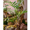 Faux Artificial Rooted Bunch Murdannia Leaf 23" Tall - RusticReach