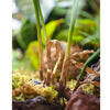 Faux Artificial Rooted Bunch Murdannia Leaf 23" Tall - RusticReach