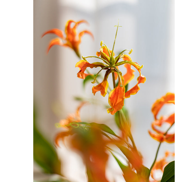 Silk Flower Flame Lily Stem 29" Tall