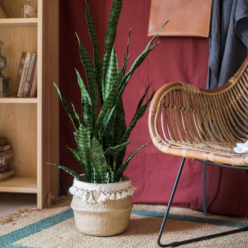 artificial potted snake plant Faux Artificial Snake Plant In Pot Green – RusticReach