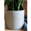 Faux Artificial Snake Plant In Pot Green - RusticReach