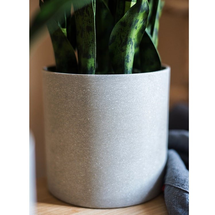 Faux Artificial Snake Plant In Pot Green - RusticReach