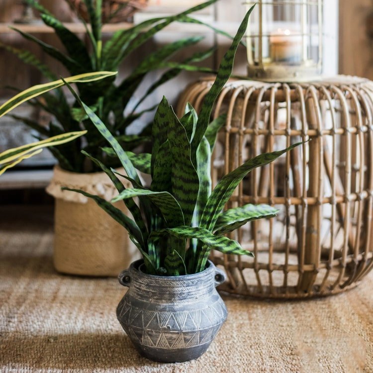 snake plant in basket Faux Artificial Snake Plant In Pot Green – RusticReach