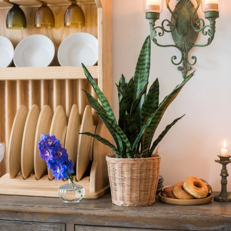 Faux Artificial Snake Plant In Pot Green - RusticReach