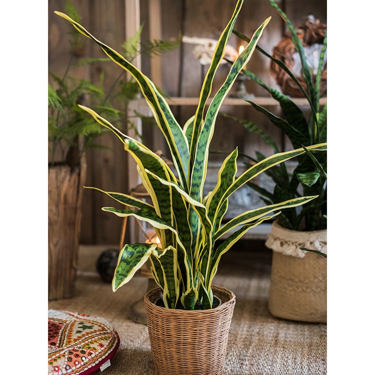 Potted Artificial Snake Plant Yellow Edged Leaf