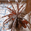 Artificial Spider Brake Fern Stem in Brown 43" Tall Faux - RusticReach