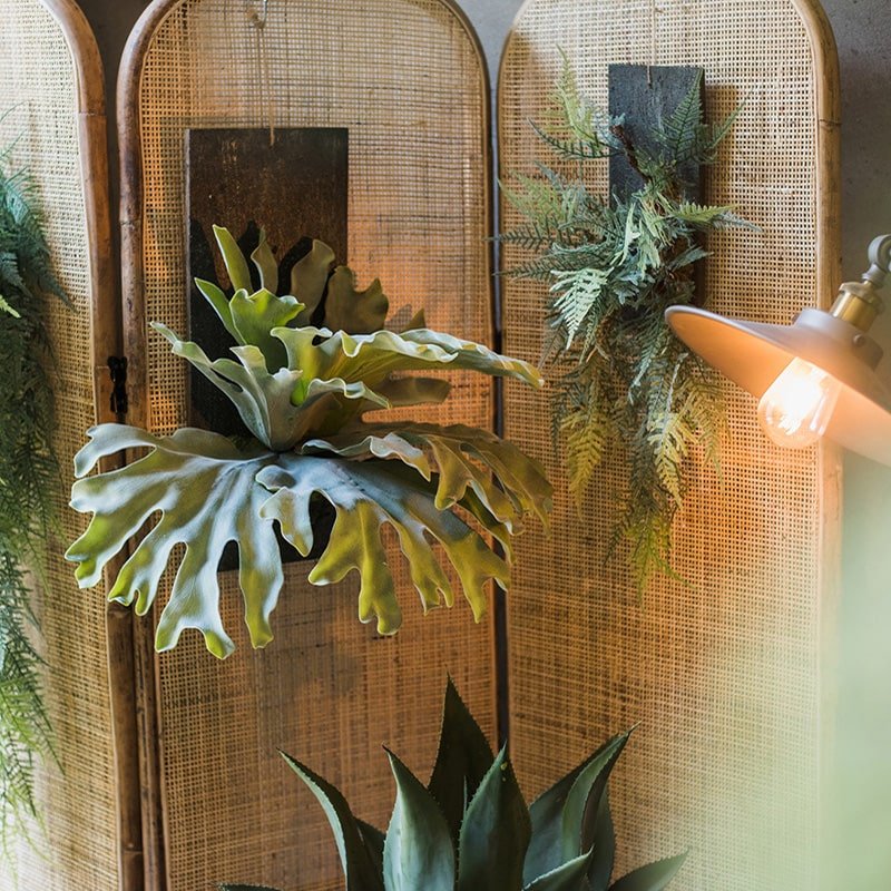 staghorn hanging plant Artificial Faux Fern Madagascar Staghorn Wood Board Hanging – RusticReach