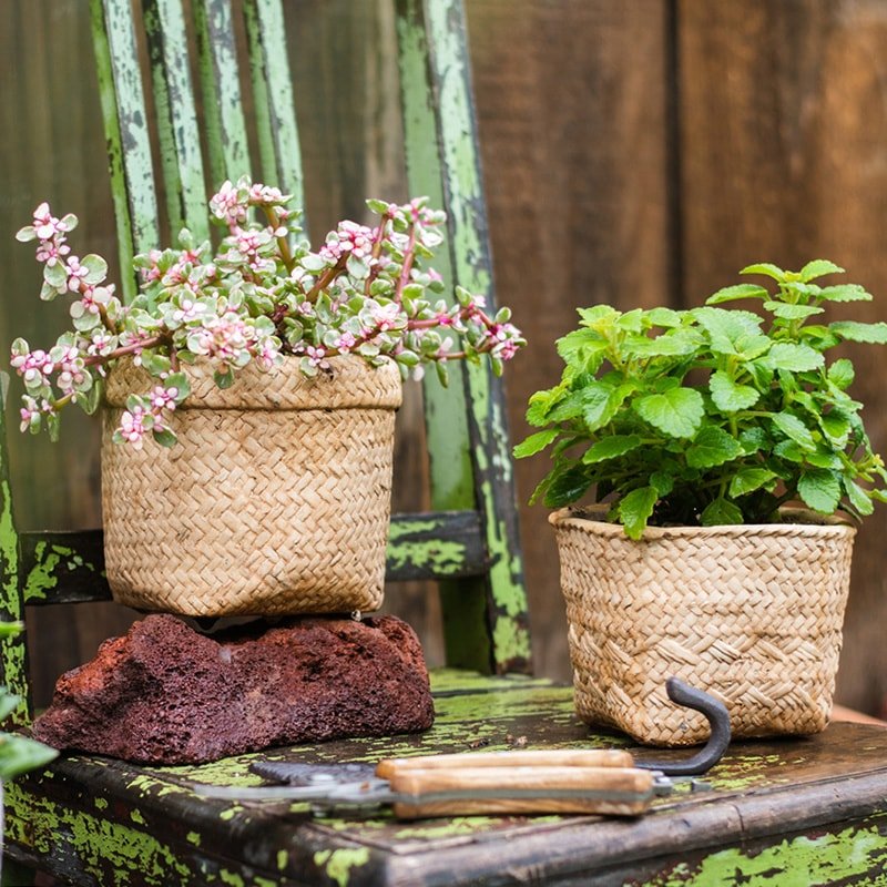 Straw Basket Style Concrete Planter - RusticReach