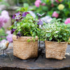 Straw Basket Style Concrete Planter - RusticReach